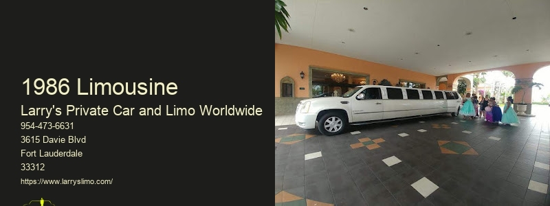 Airport Private Shuttle