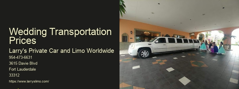 Airport Private Shuttle